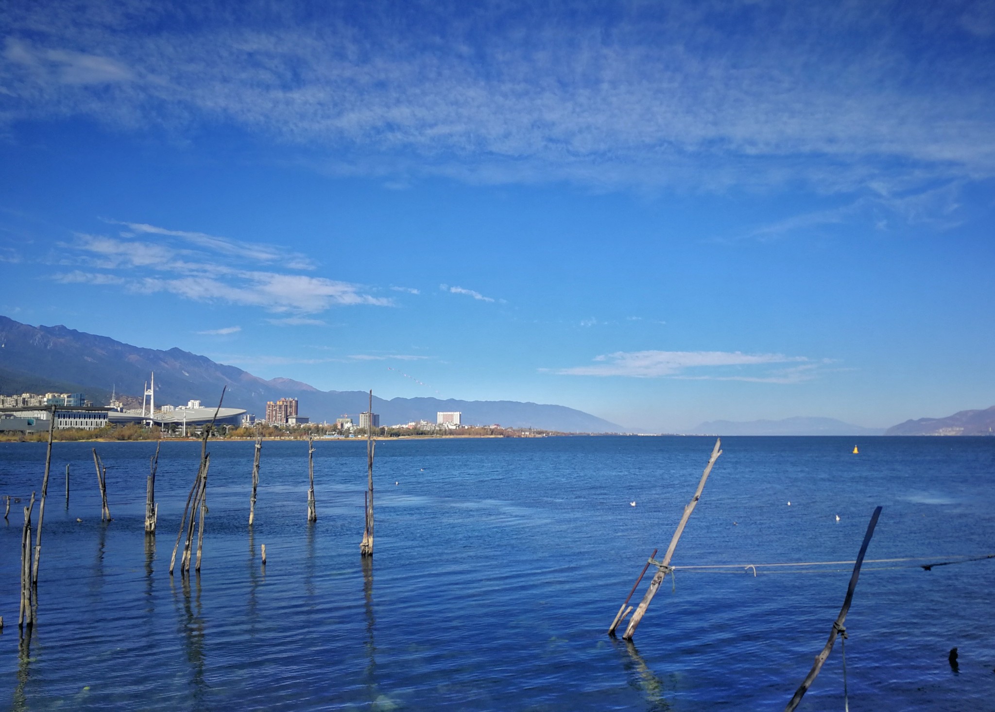 洱海洱海洱海洱海洱海洱海洱海洱海洱海白鸥翔天掠湖