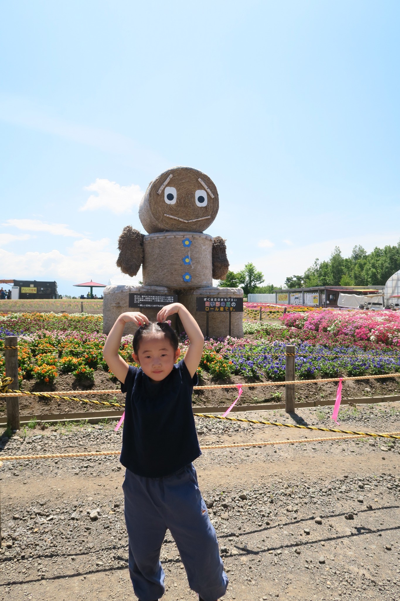 北海道自助遊攻略