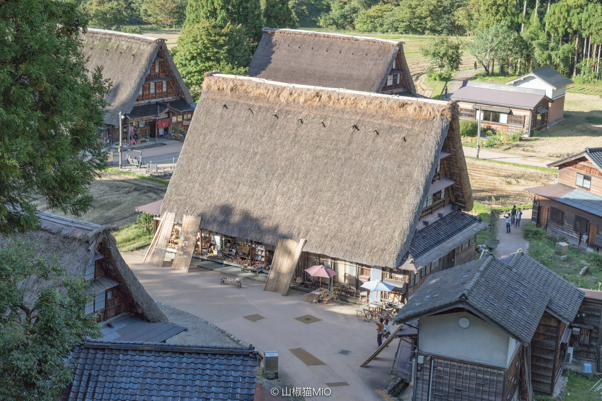 白川鄉自助遊攻略