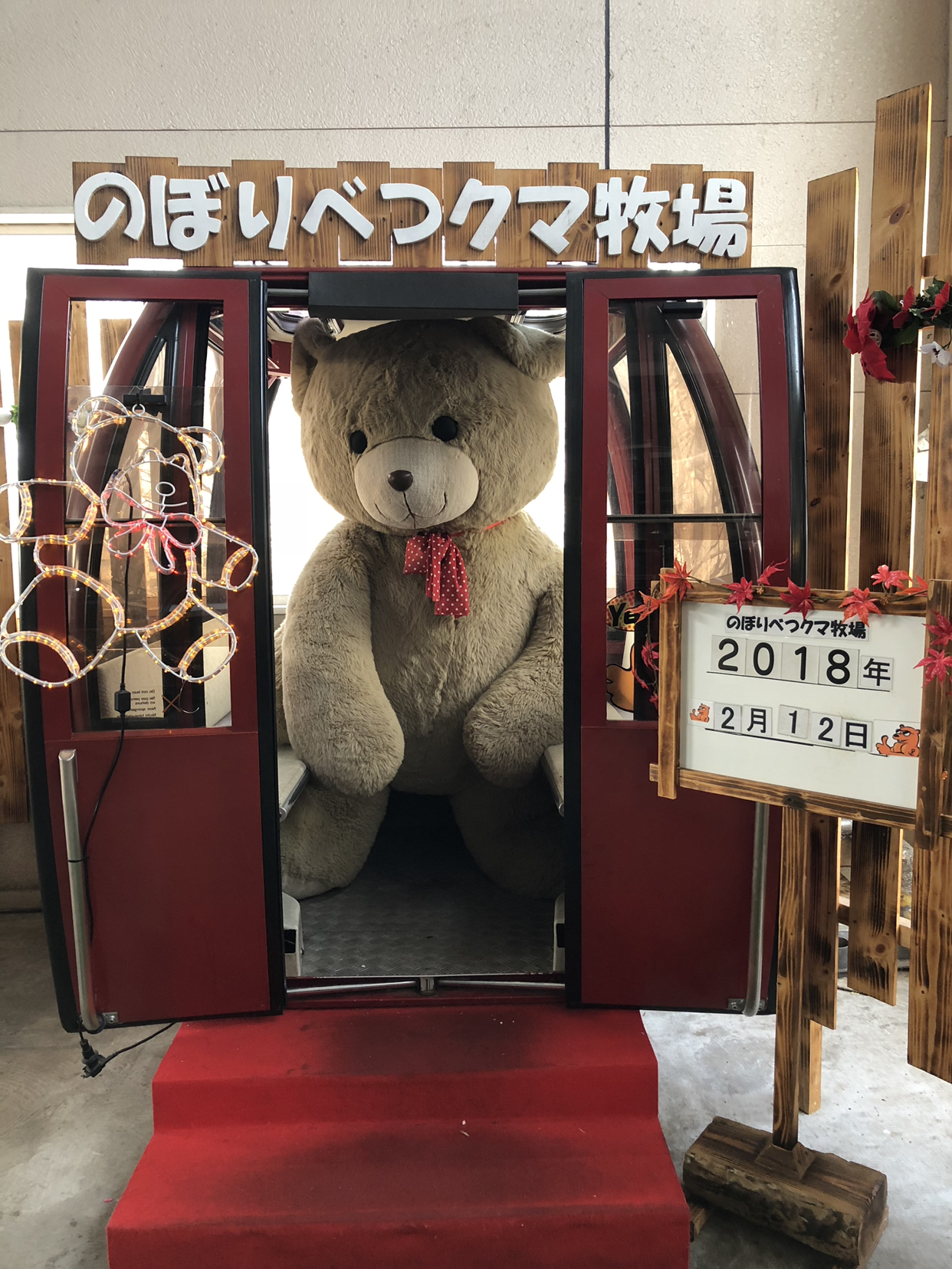 登别熊牧场冬天熊冬眠吗 12月中旬能看到活动的熊吗 马蜂窝问答