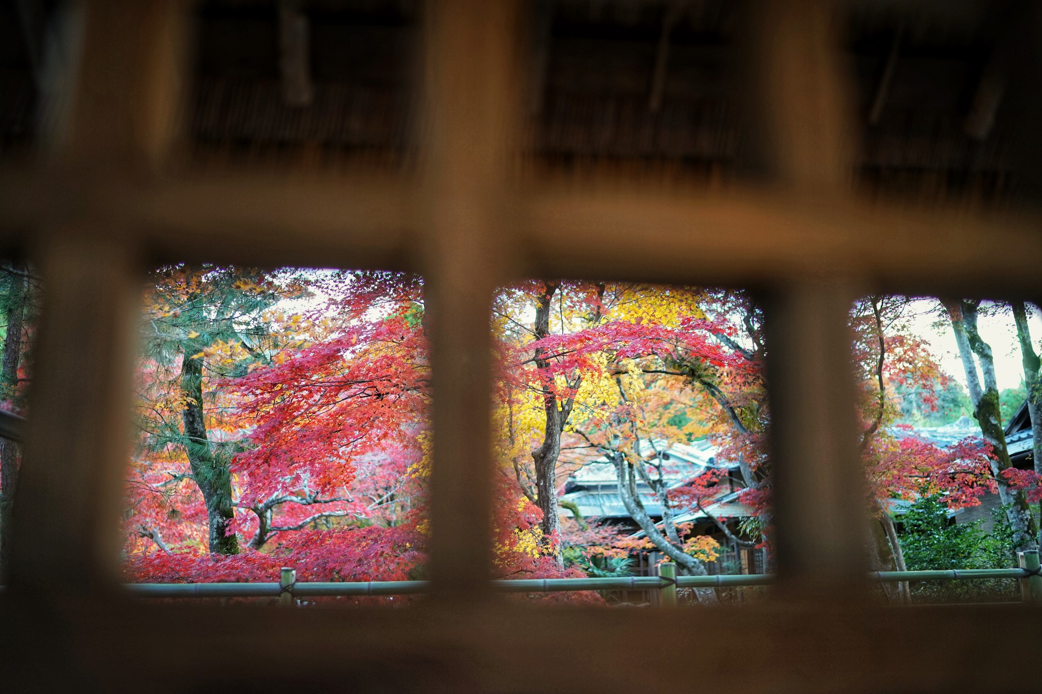 京都自助遊攻略