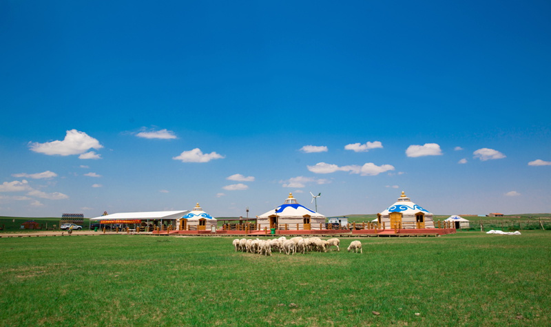 纯玩无购物希拉穆仁草原乌兰塔拉开心牧场库布其沙漠席力图召内蒙古