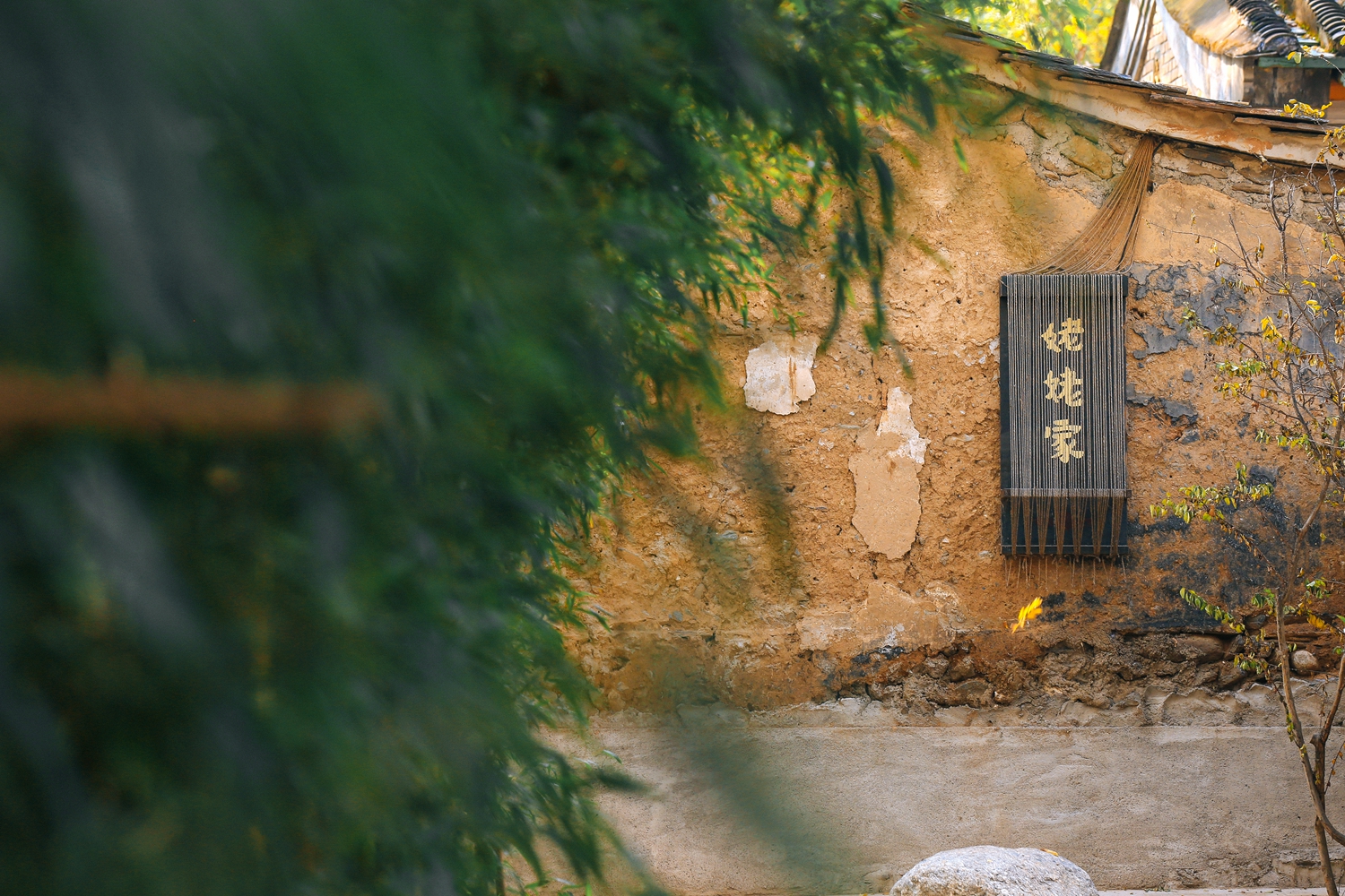 入住乡居民宿姥姥家的小院过闲来悠哉的乡野生活与孩