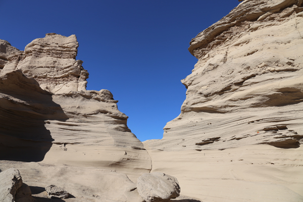 雅丹与风蚀地貌●雅丹地貌是一种比较软弱的湖泊沉积泥沙被风力谴蚀