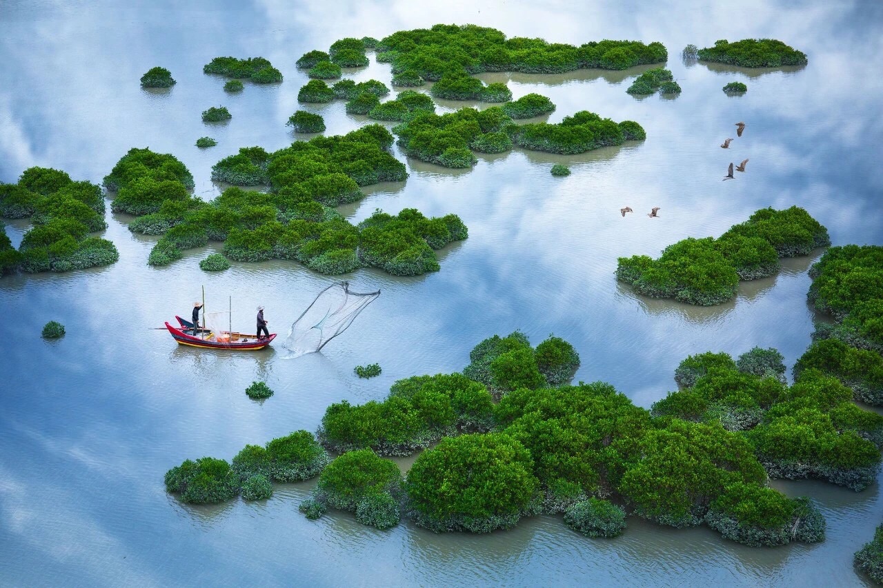 霞浦鹅湾红树林摄影点攻略,鹅湾红树林摄影点门票_地址,鹅湾红树林