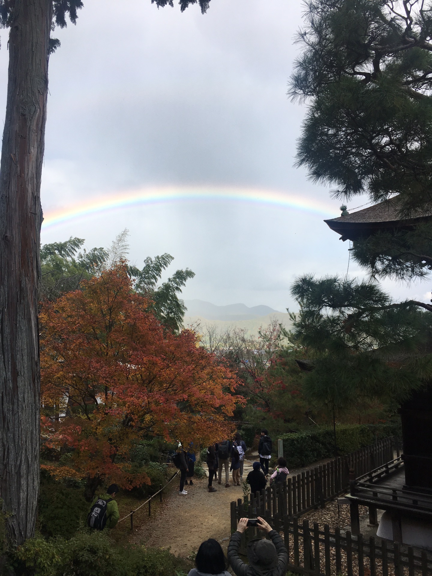 京都自助遊攻略