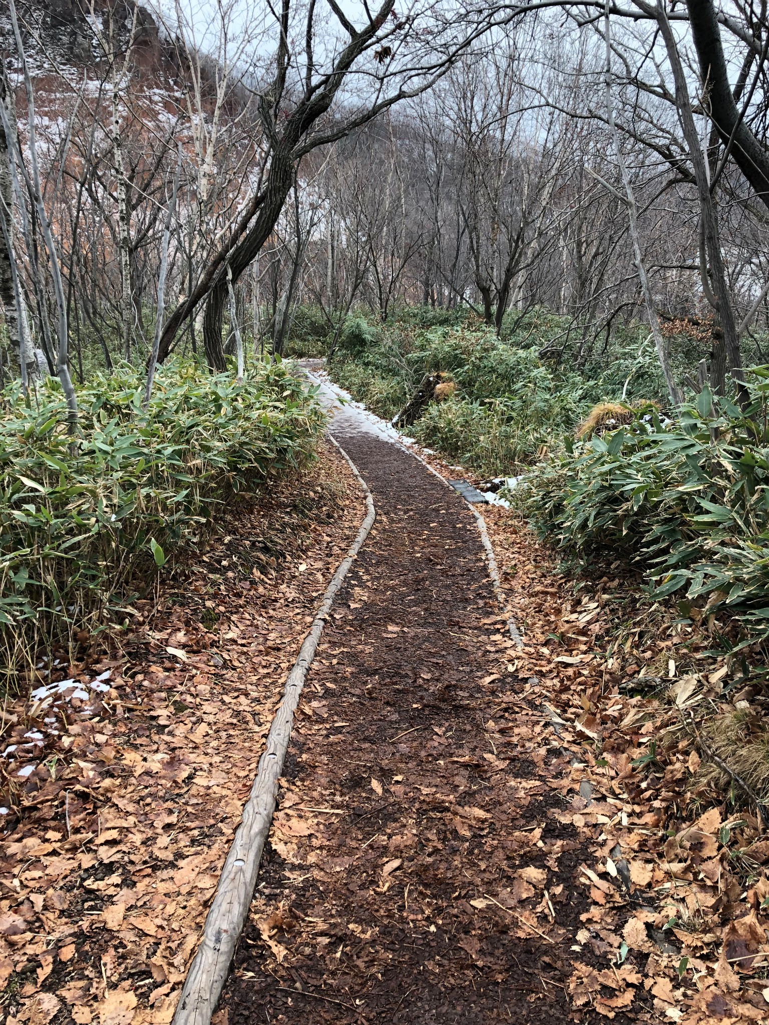 北海道自助遊攻略