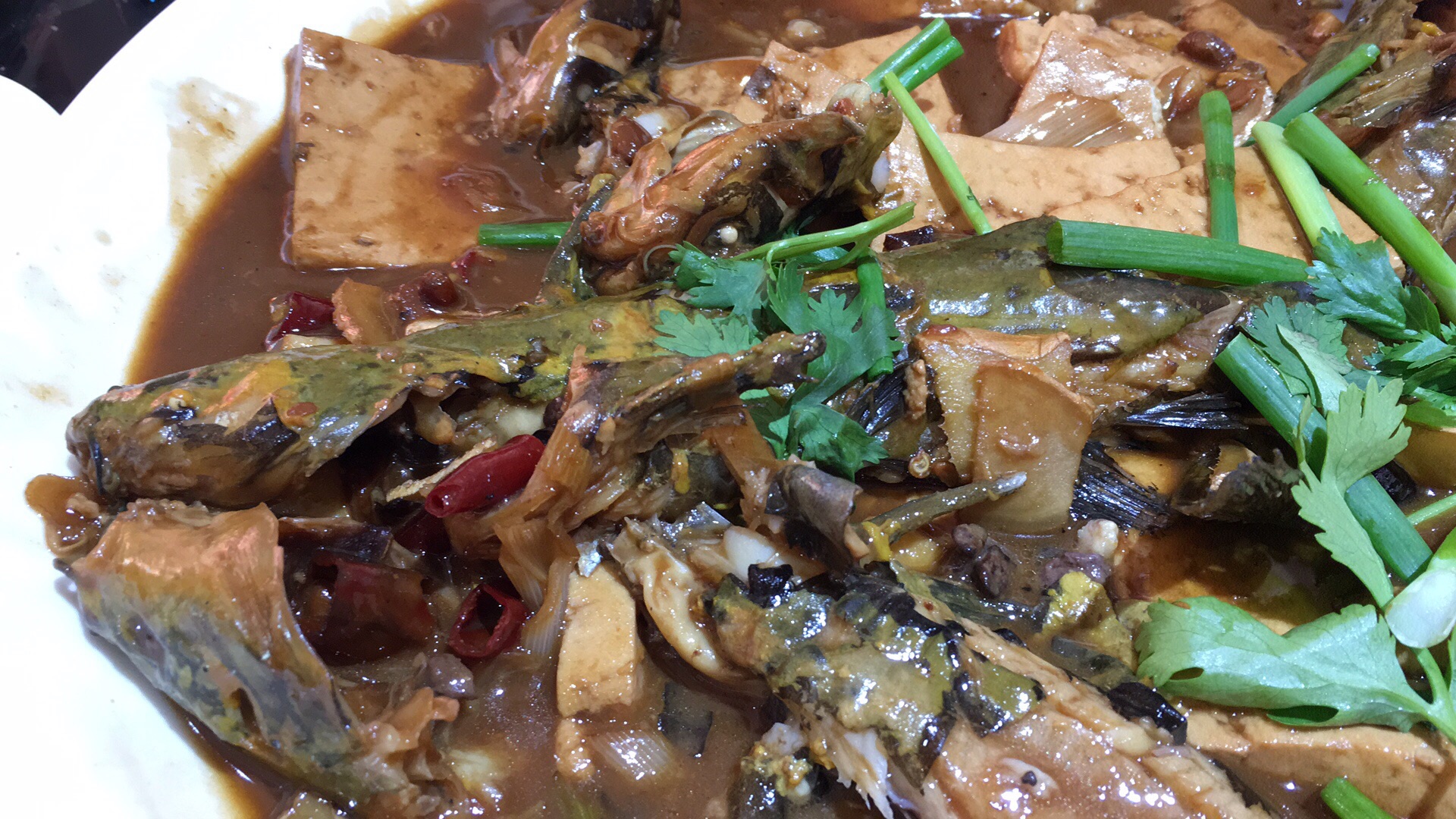 水的世界白洋淀