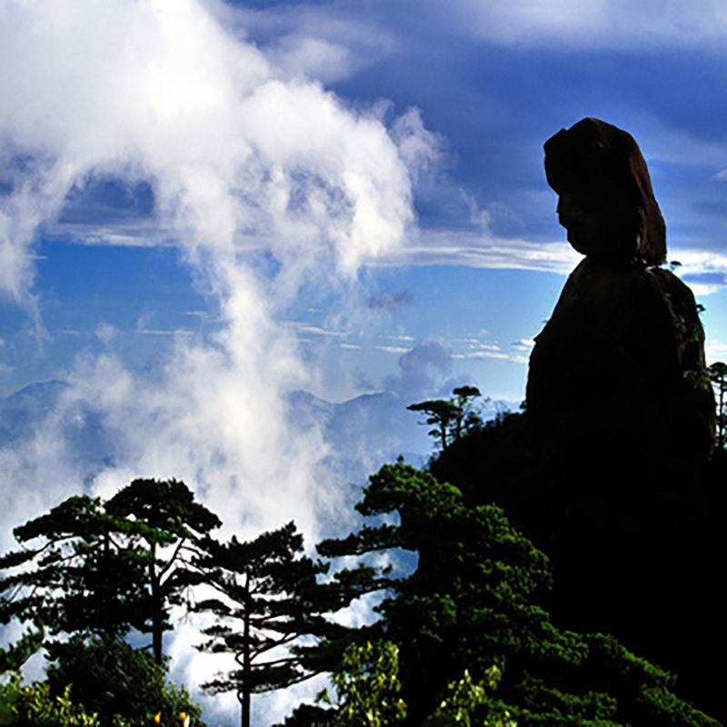 世界遺產三清山高品質一日遊純玩(婺源縣城/高鐵上門接送 含門票天天