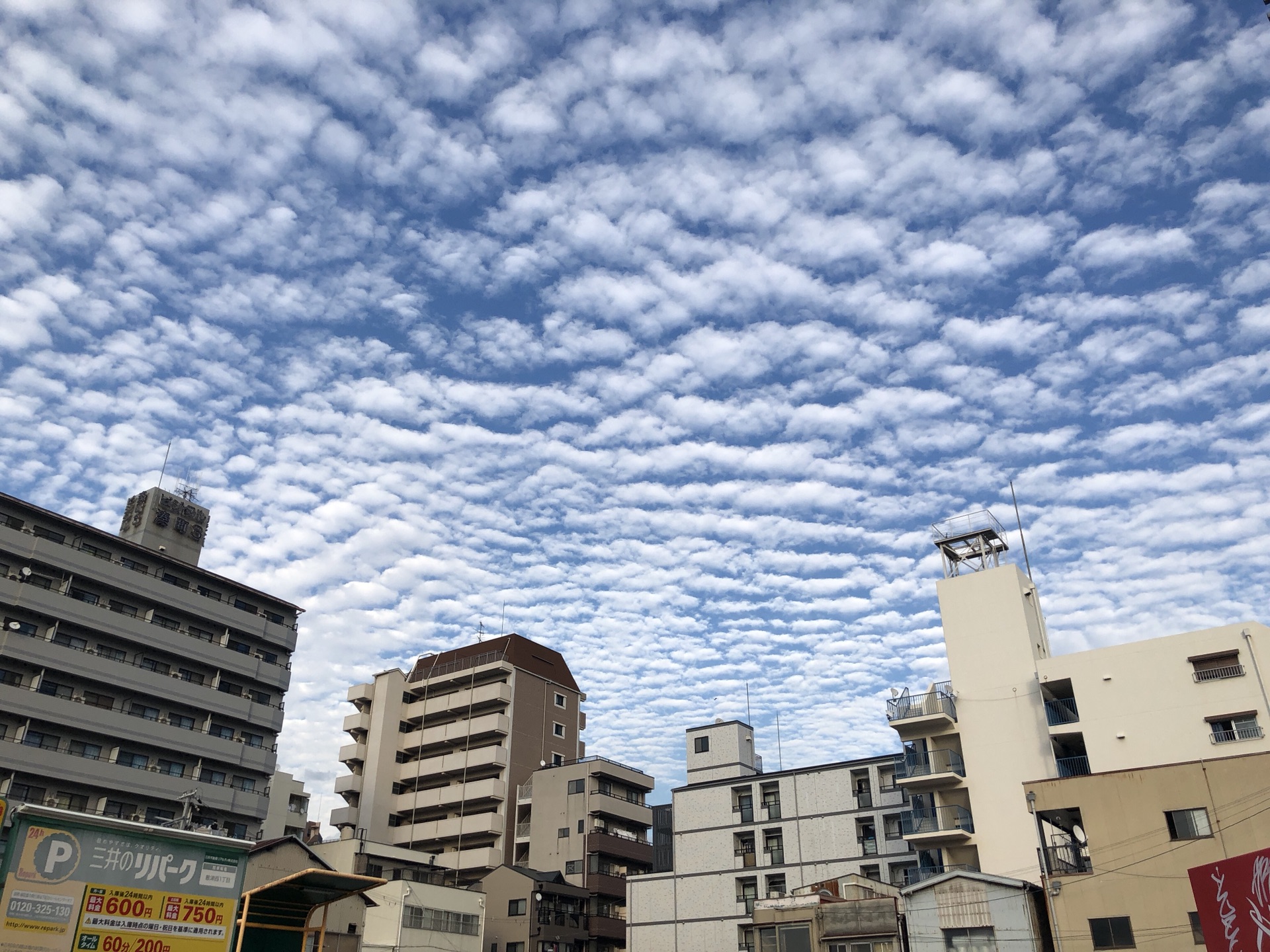 京都自助遊攻略