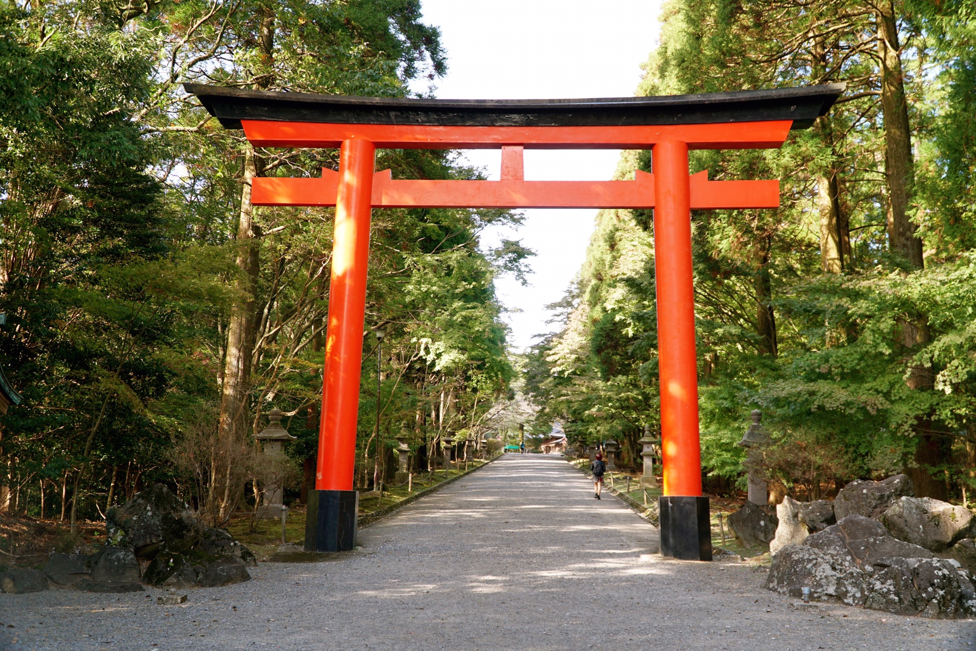 鹿兒島自助遊攻略