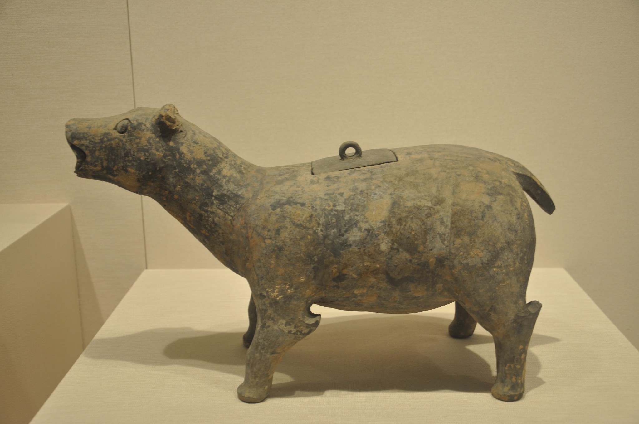 山东博物馆(十一)山东历史文化展:夏商周 ②_游记