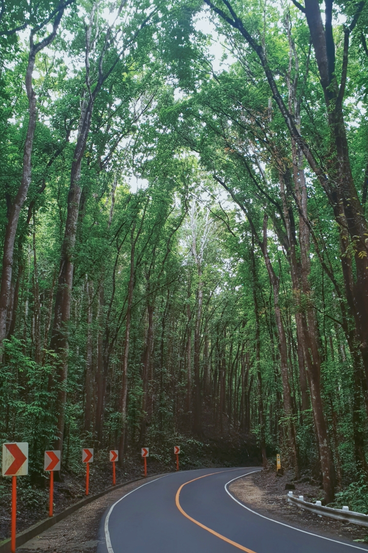 薄荷島自助遊攻略