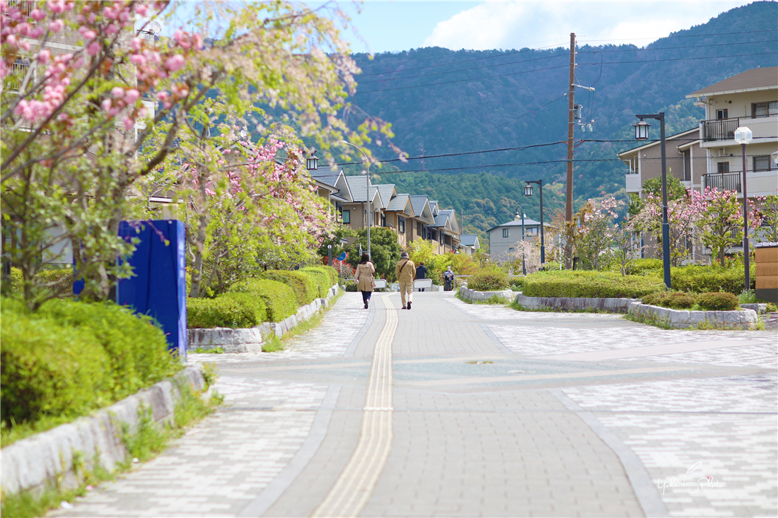 京都自助遊攻略