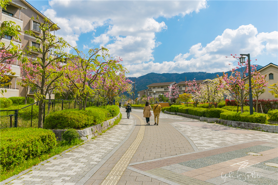 京都自助遊攻略