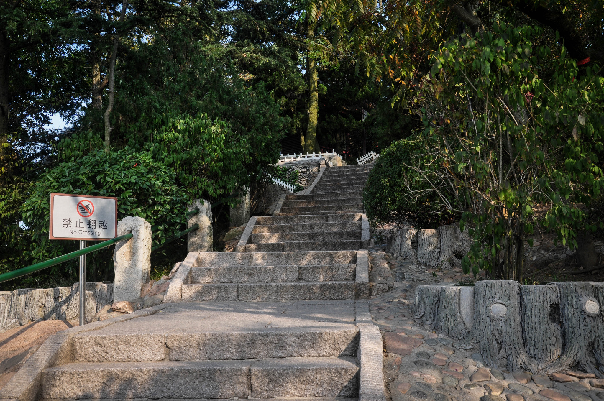 青島自助遊攻略