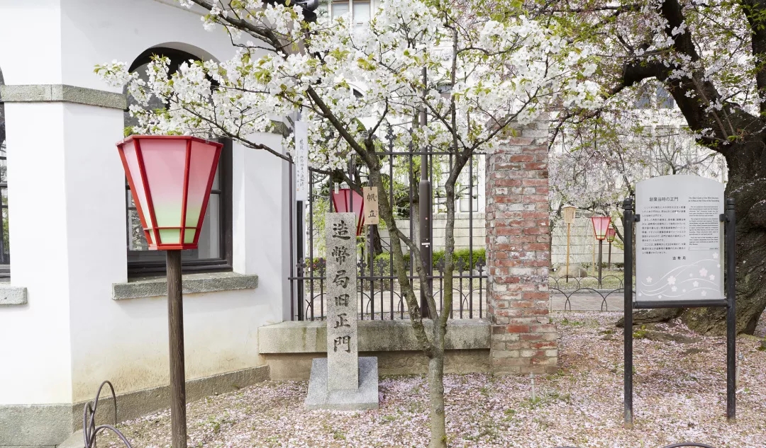 日本樱花季大阪篇 赏樱 购物 游玩全攻略 手机马蜂窝