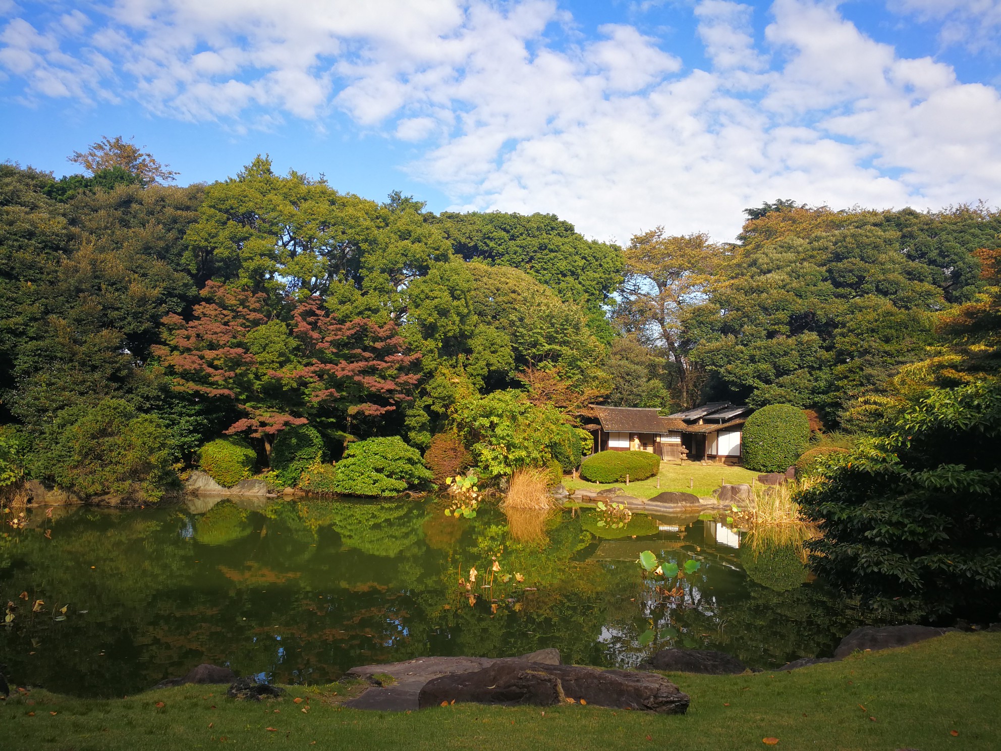 東京自助遊攻略