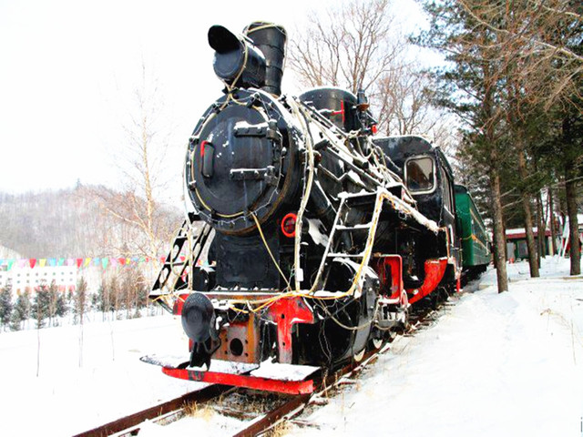 乘坐森林小火车穿梭在大兴安岭的森林之中 到处都是白茫茫的一片,只有