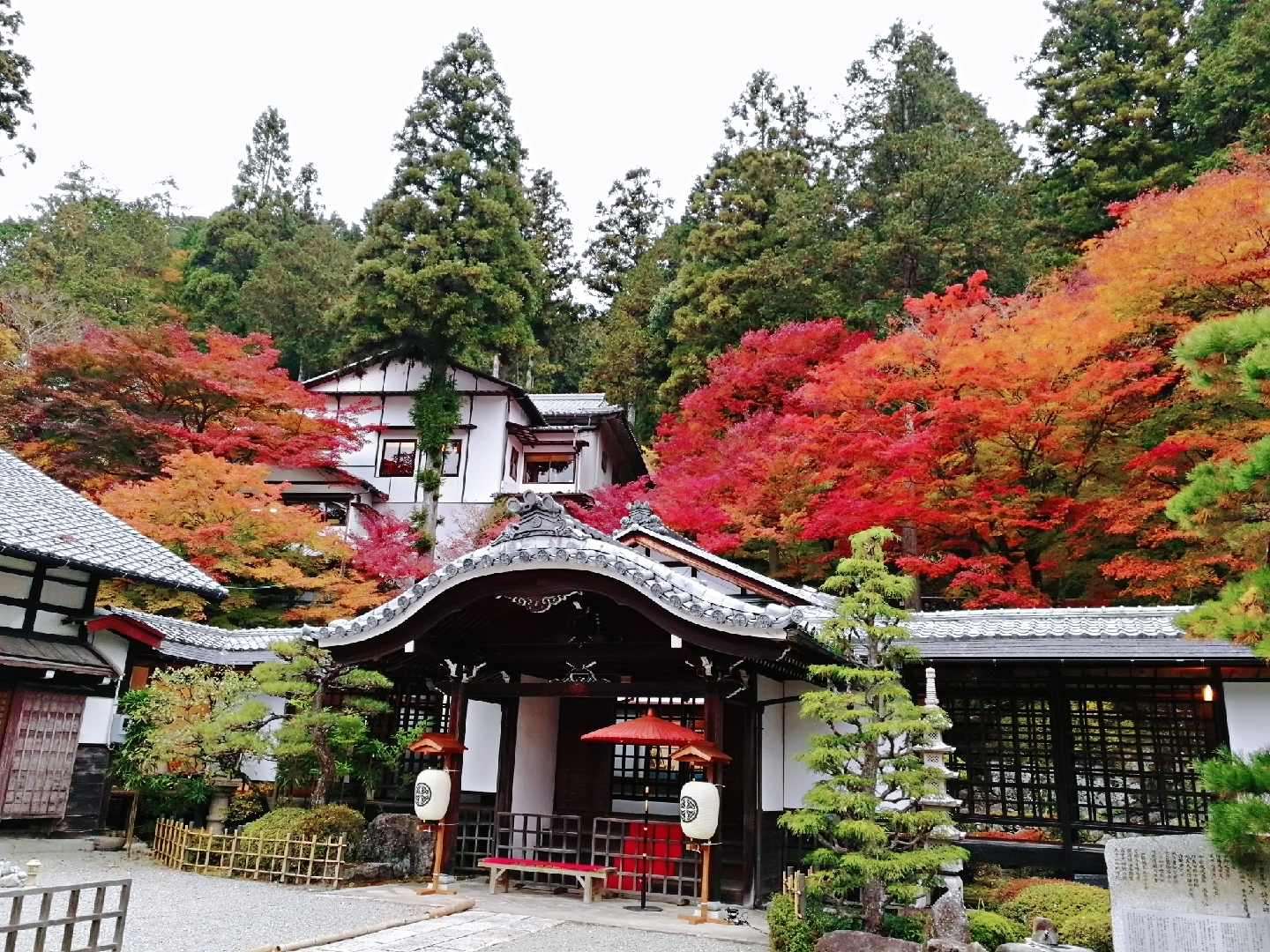 名古屋自助遊攻略