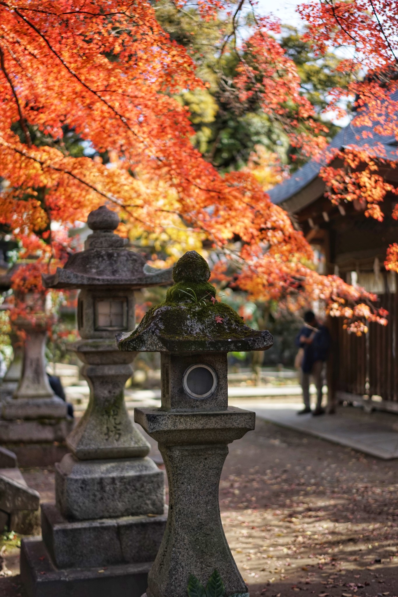 京都自助遊攻略