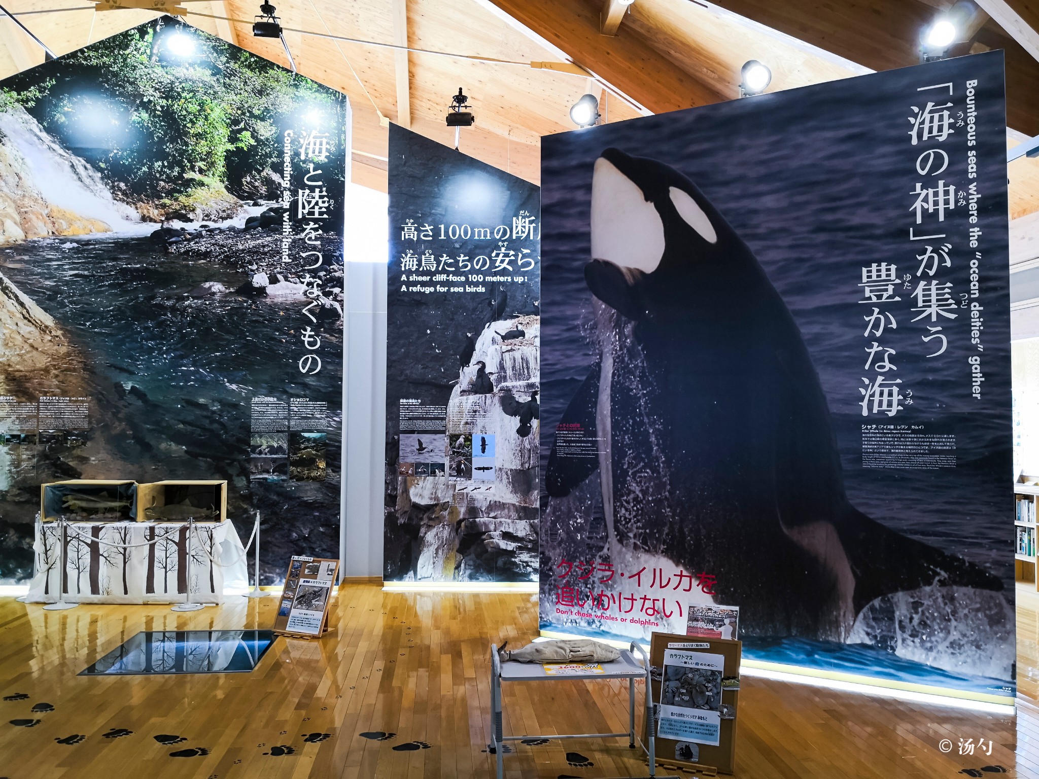 北海道自助遊攻略