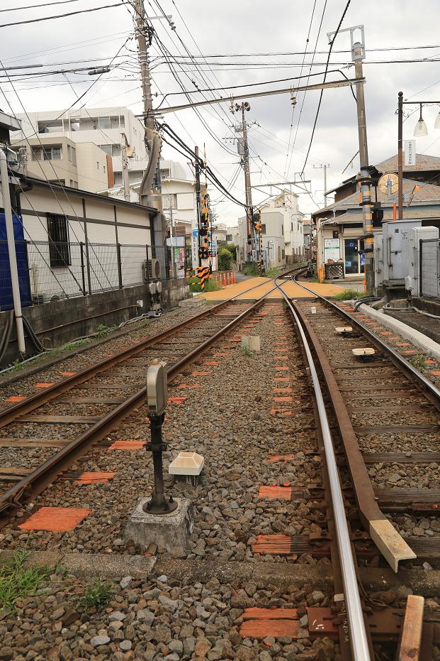 東京自助遊攻略