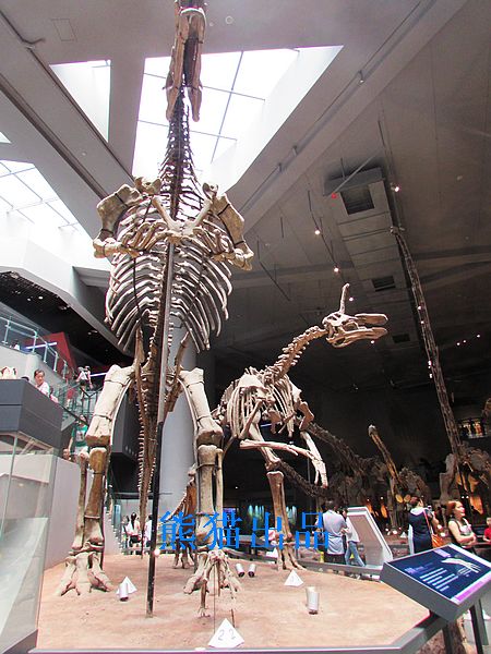 北碚访古一日游