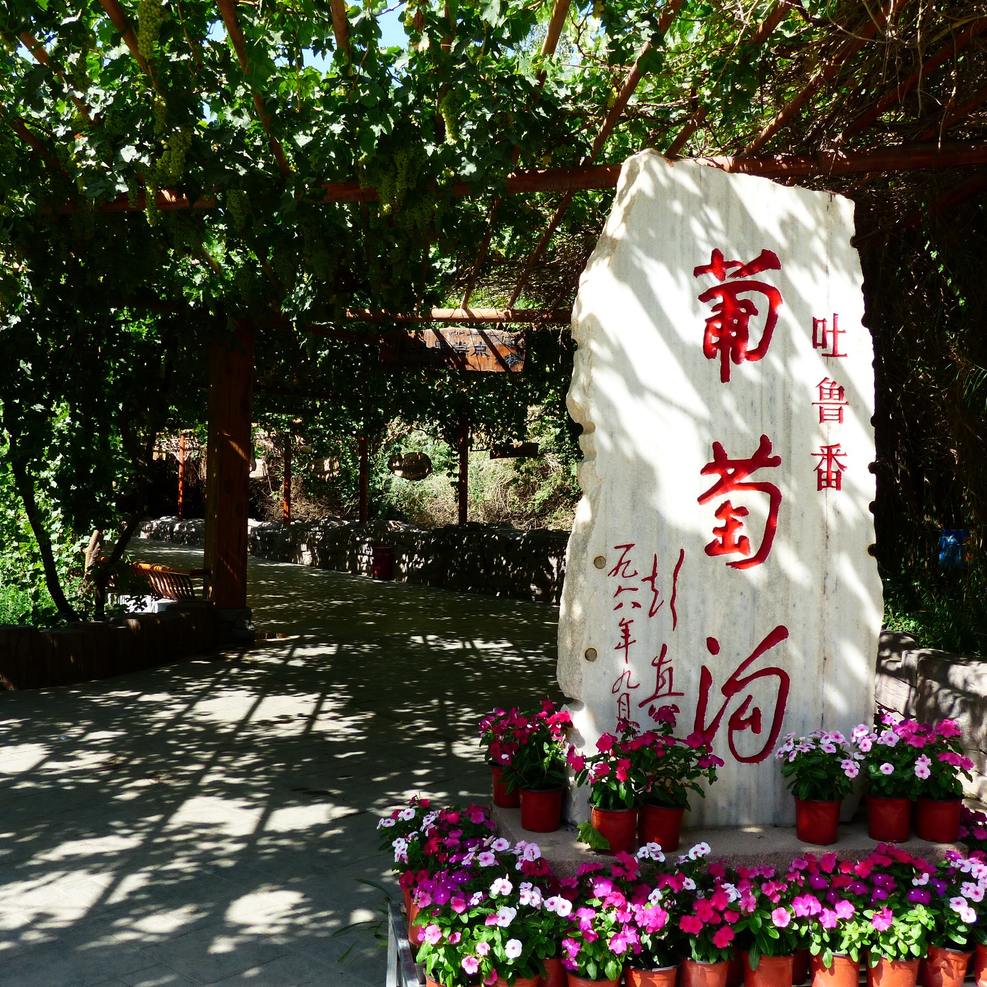 新疆 吐鲁番 葡萄沟 坎儿井民俗园 交河故城_游记