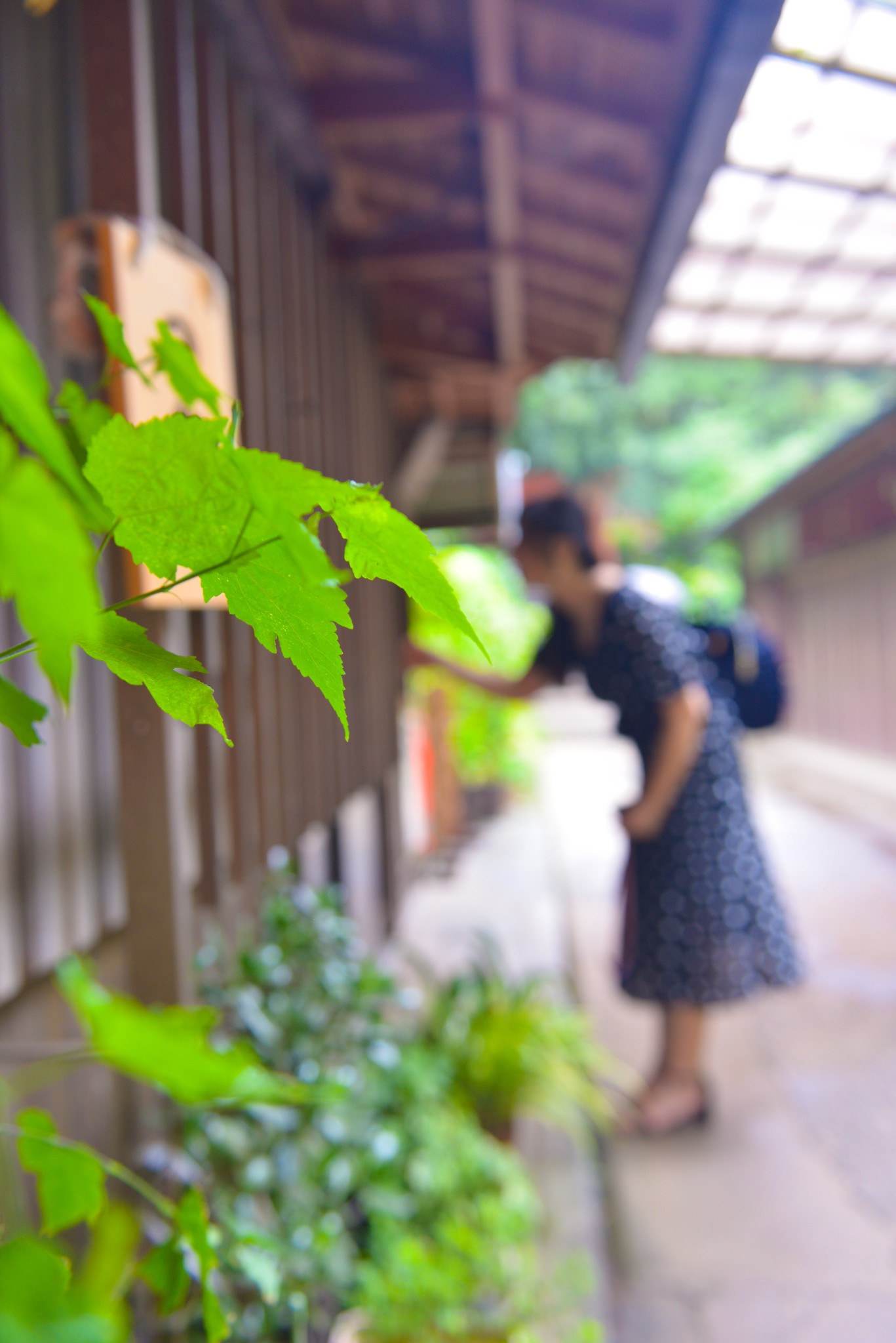 京都自助遊攻略