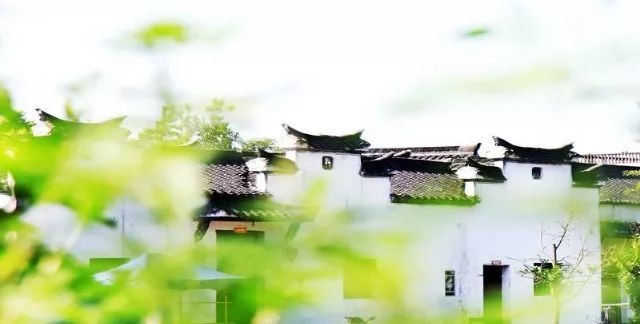 浙江这9个古村镇,非常适合周末去撒欢~