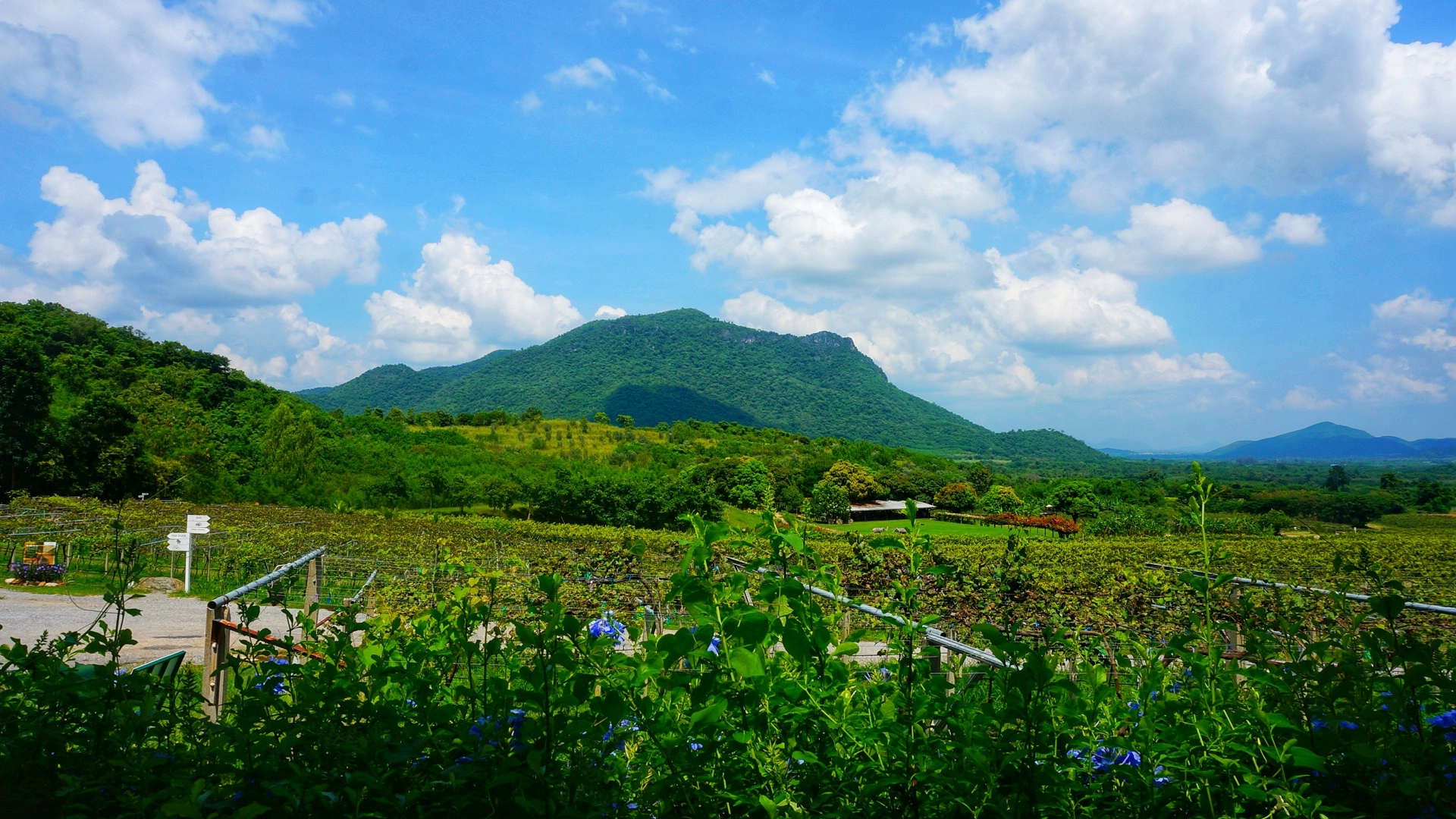 華欣自助遊攻略