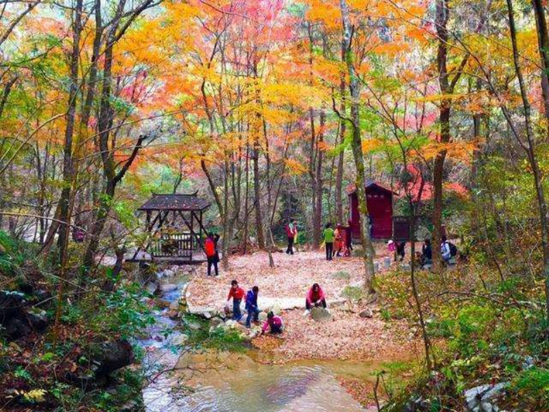 湖北英山桃花衝賞紅葉一日遊 定能不負光陰 不負秋天