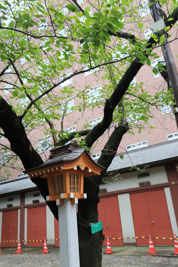 東京自助遊攻略