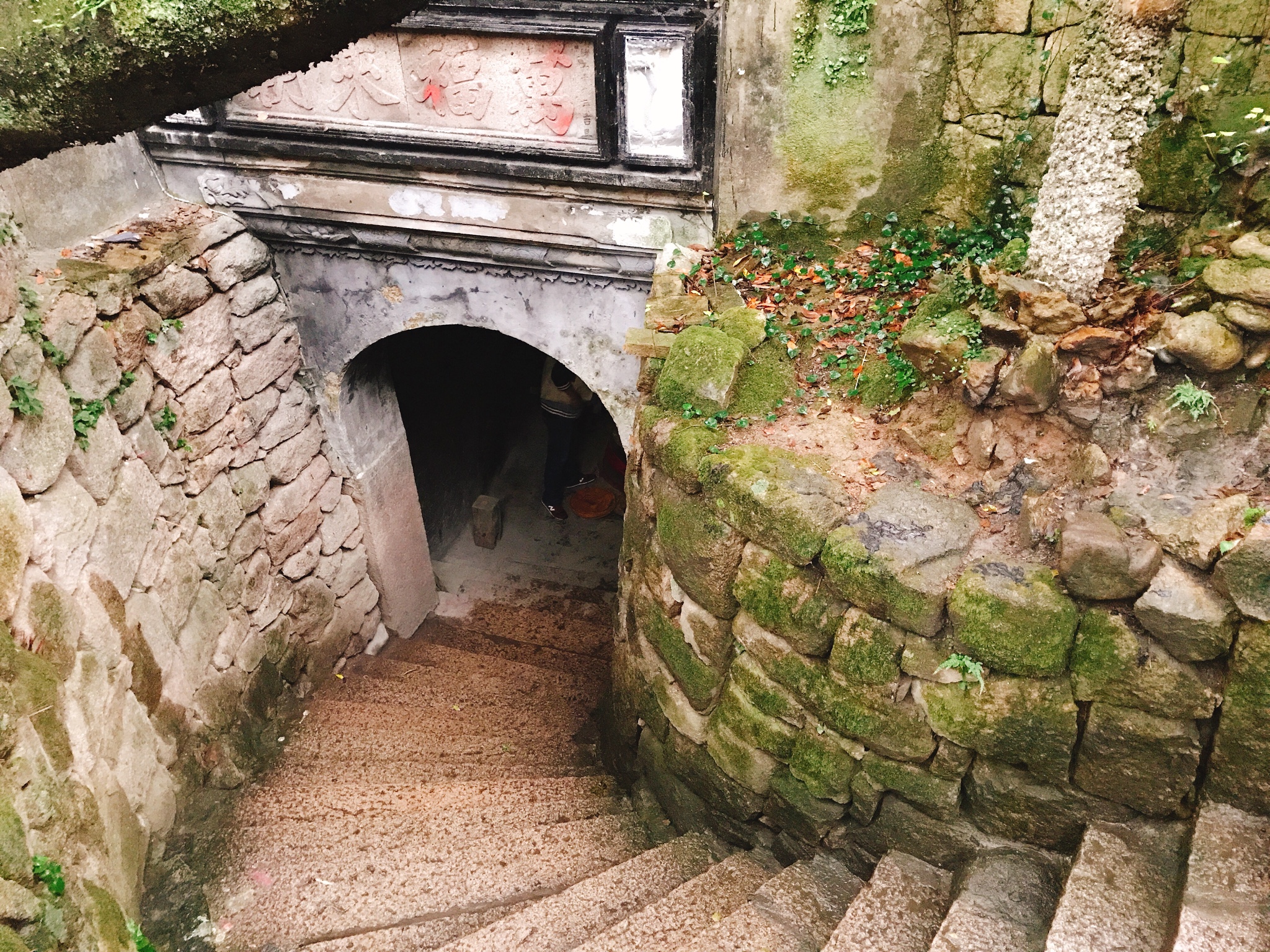 仙人井仙人井仙人井仙人井6.