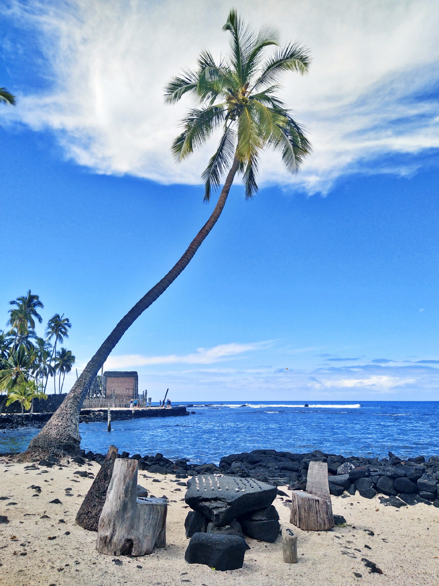 野性与悠闲星空与大海aloha夏威夷