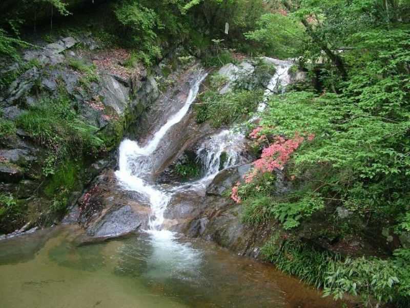 湖北英山桃花衝賞紅葉一日遊 定能不負光陰 不負秋天