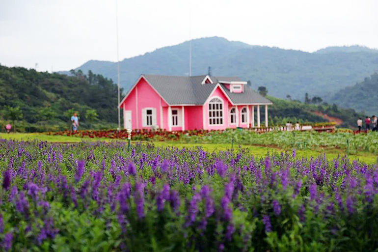 惠州羅浮山那裡花開主題公園 觀光門票