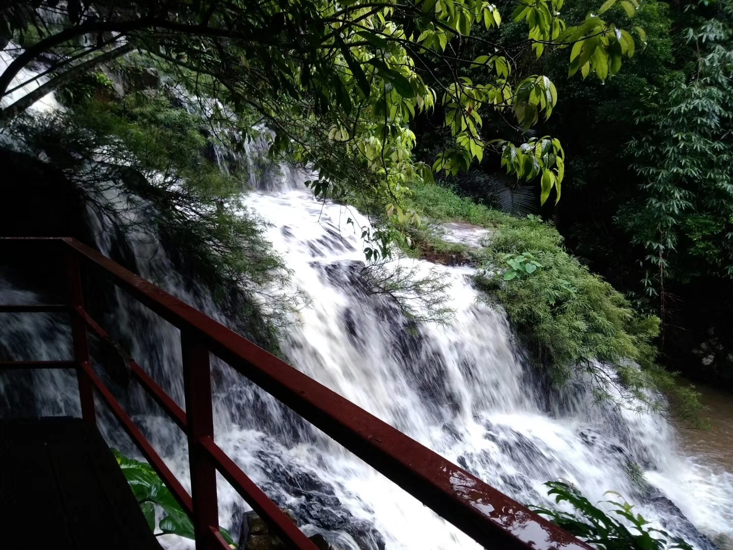 Yanoda Tropical Rainforest Scenic Area