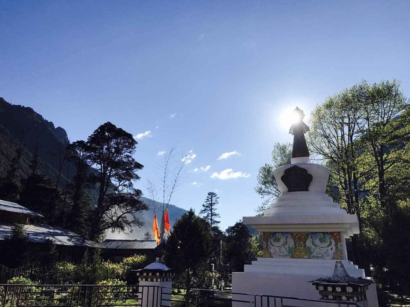 美香奶酪厂浪都村