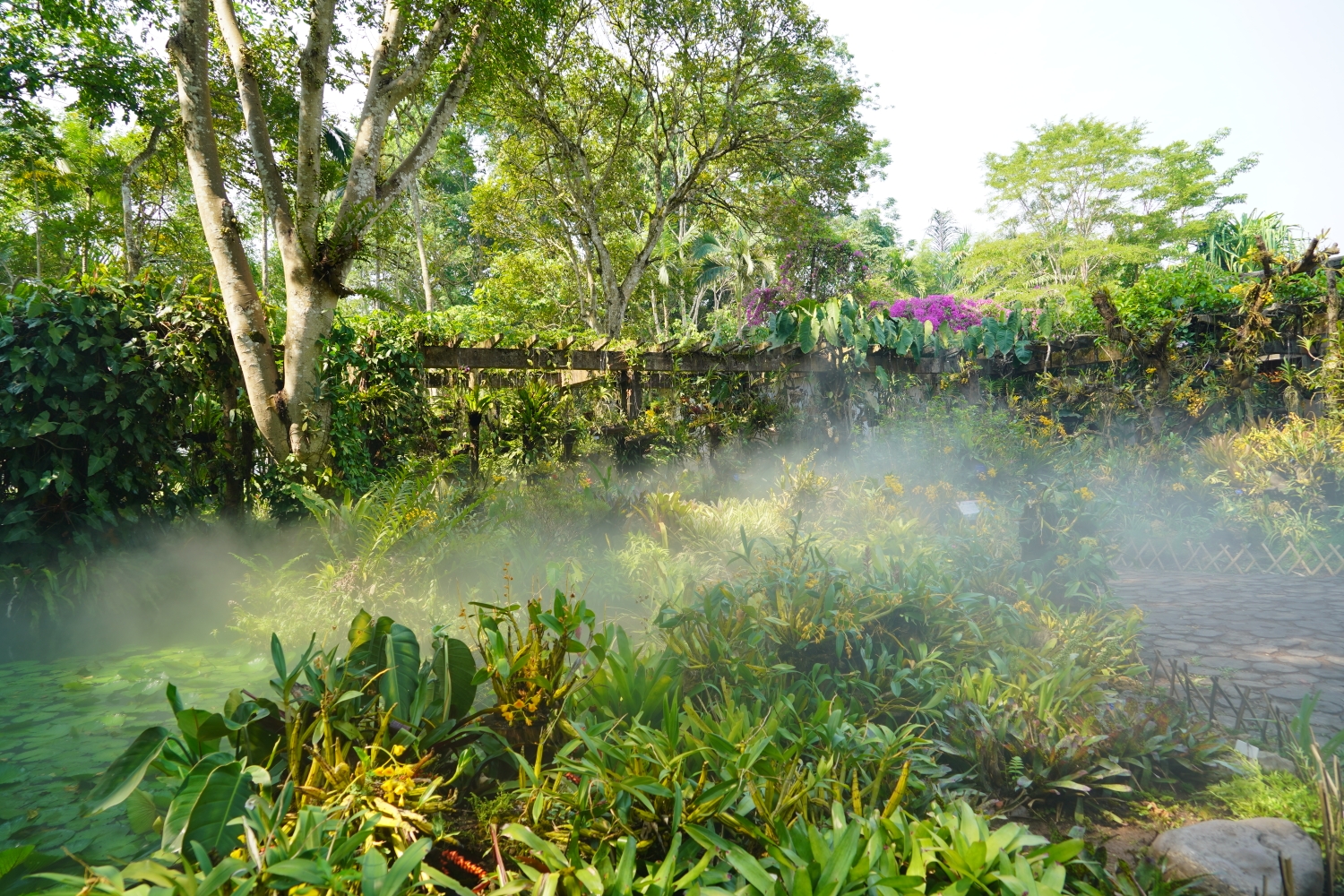 西双版纳中科院热带植物园,告庄西双景
