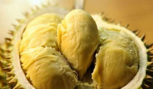 榴莲控看过来|马来西亚榴莲攻略,23个品种让你吃过瘾 - 手机马蜂窝