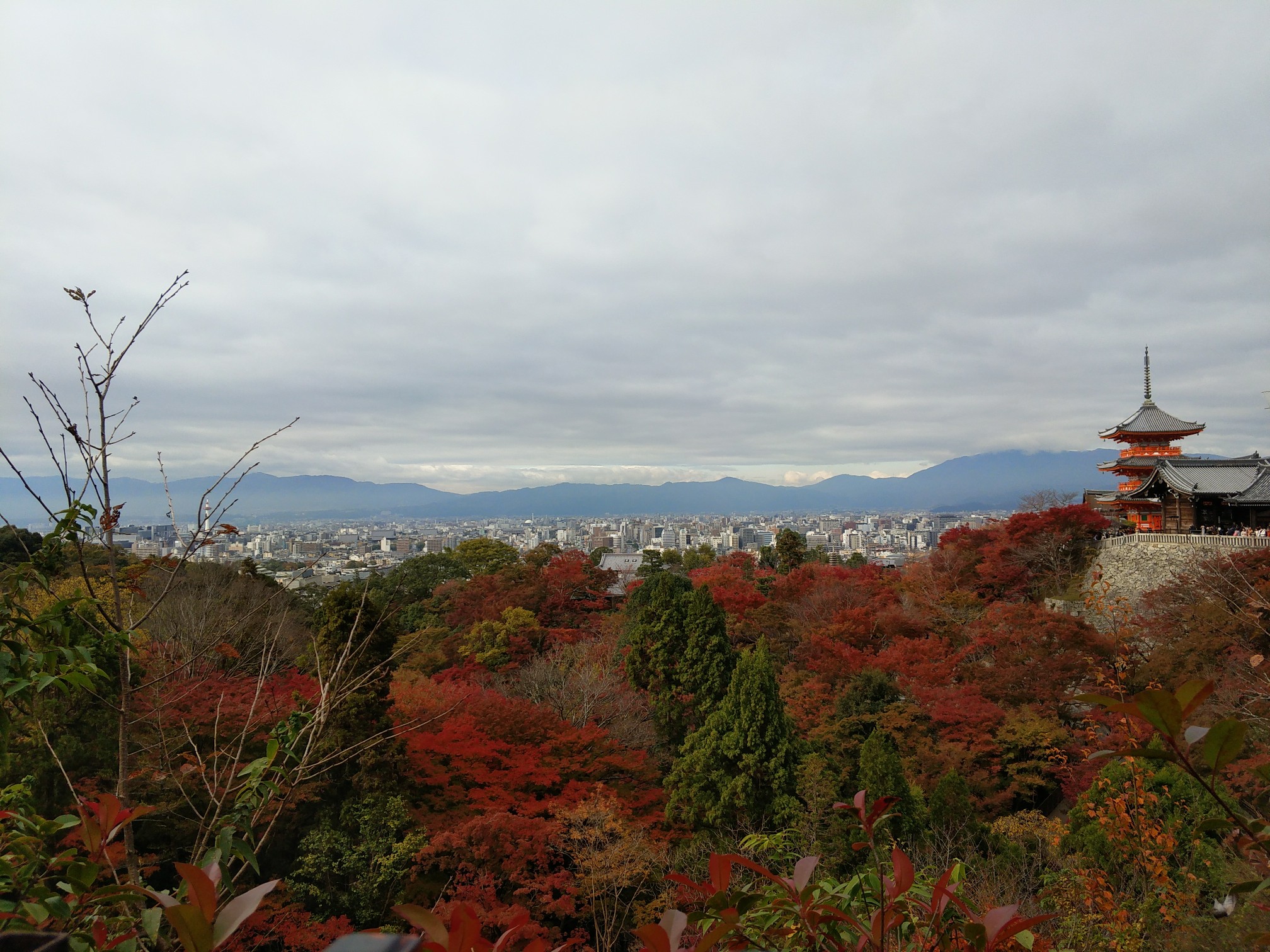 東京自助遊攻略