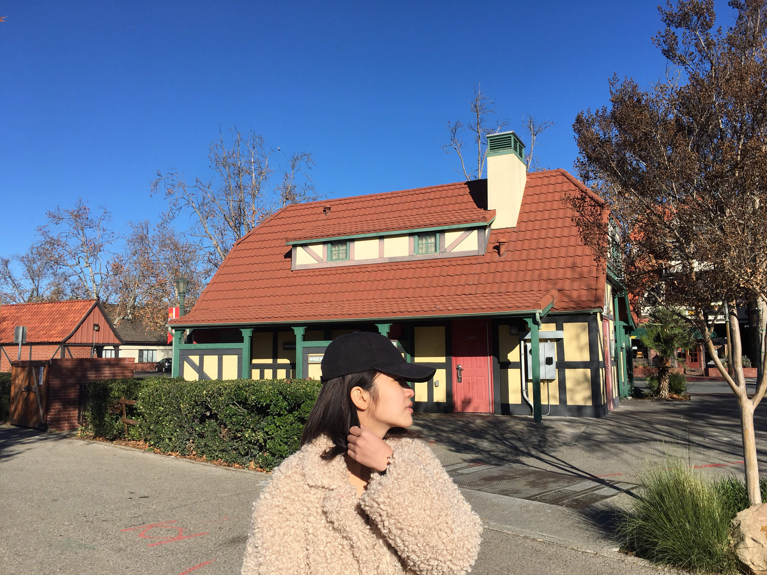 Slice of Solvang