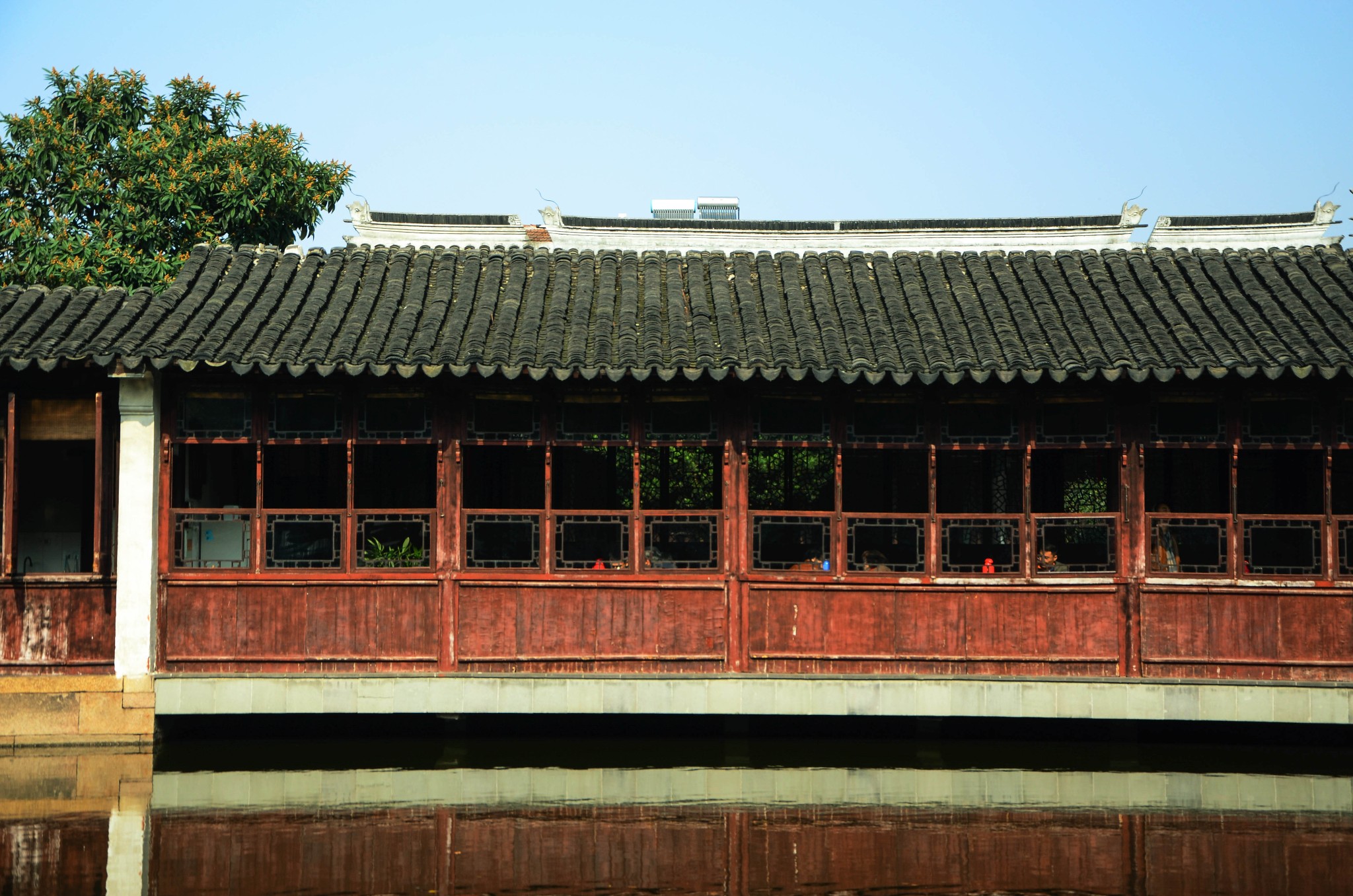 艺圃| 湖光山色中,大隐隐于市的诗意园林