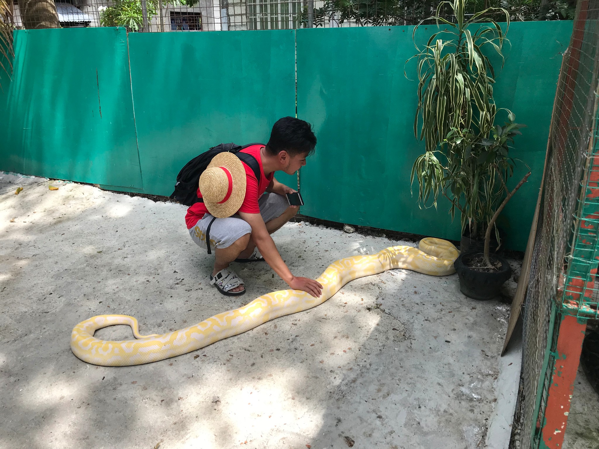 宿務自助遊攻略