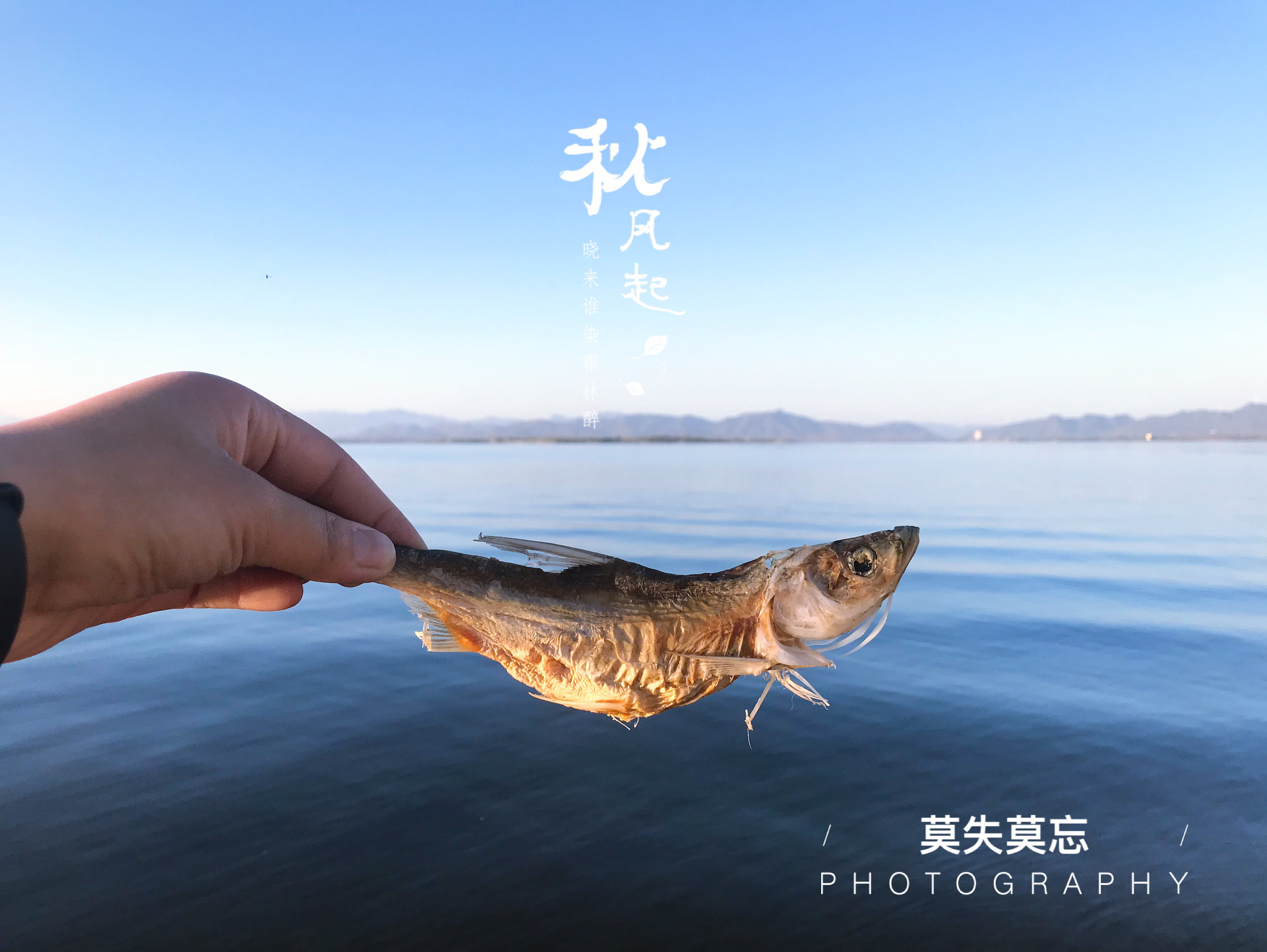 鸭河口水库