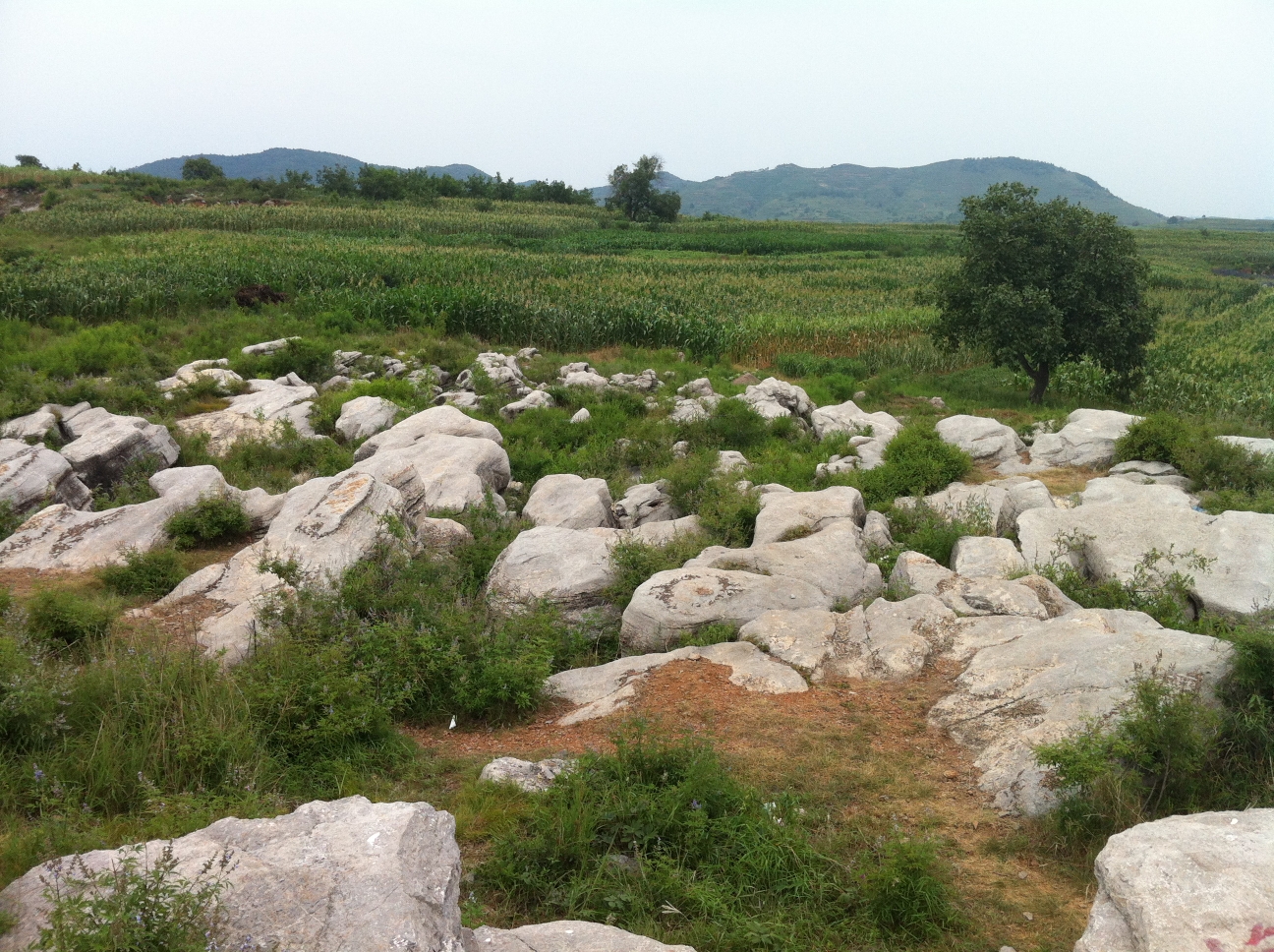 实习日记秦皇岛柳江盆地