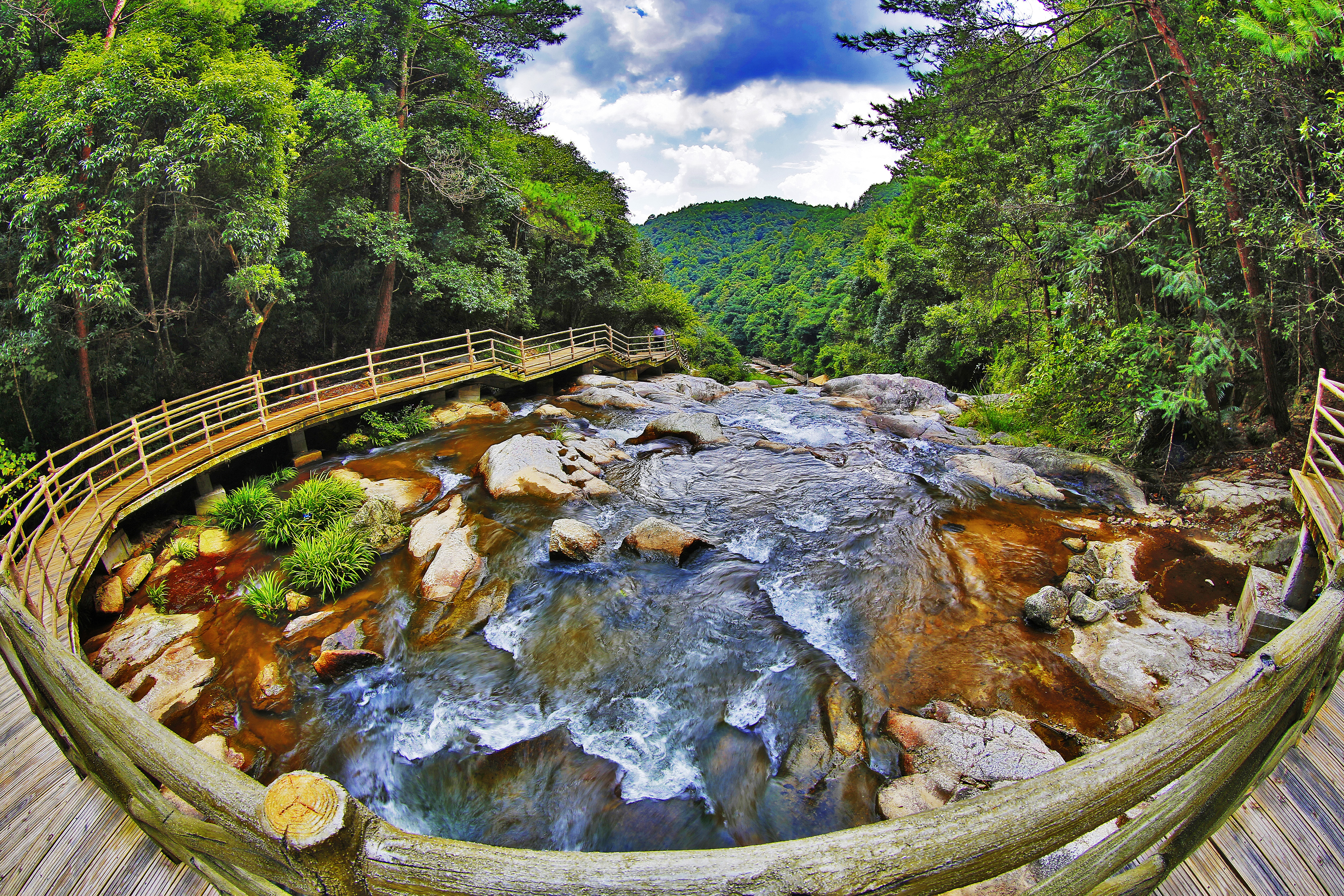 梁野山自然保护区旅游图片,梁野山自然保护区自助游图片,梁野山自然