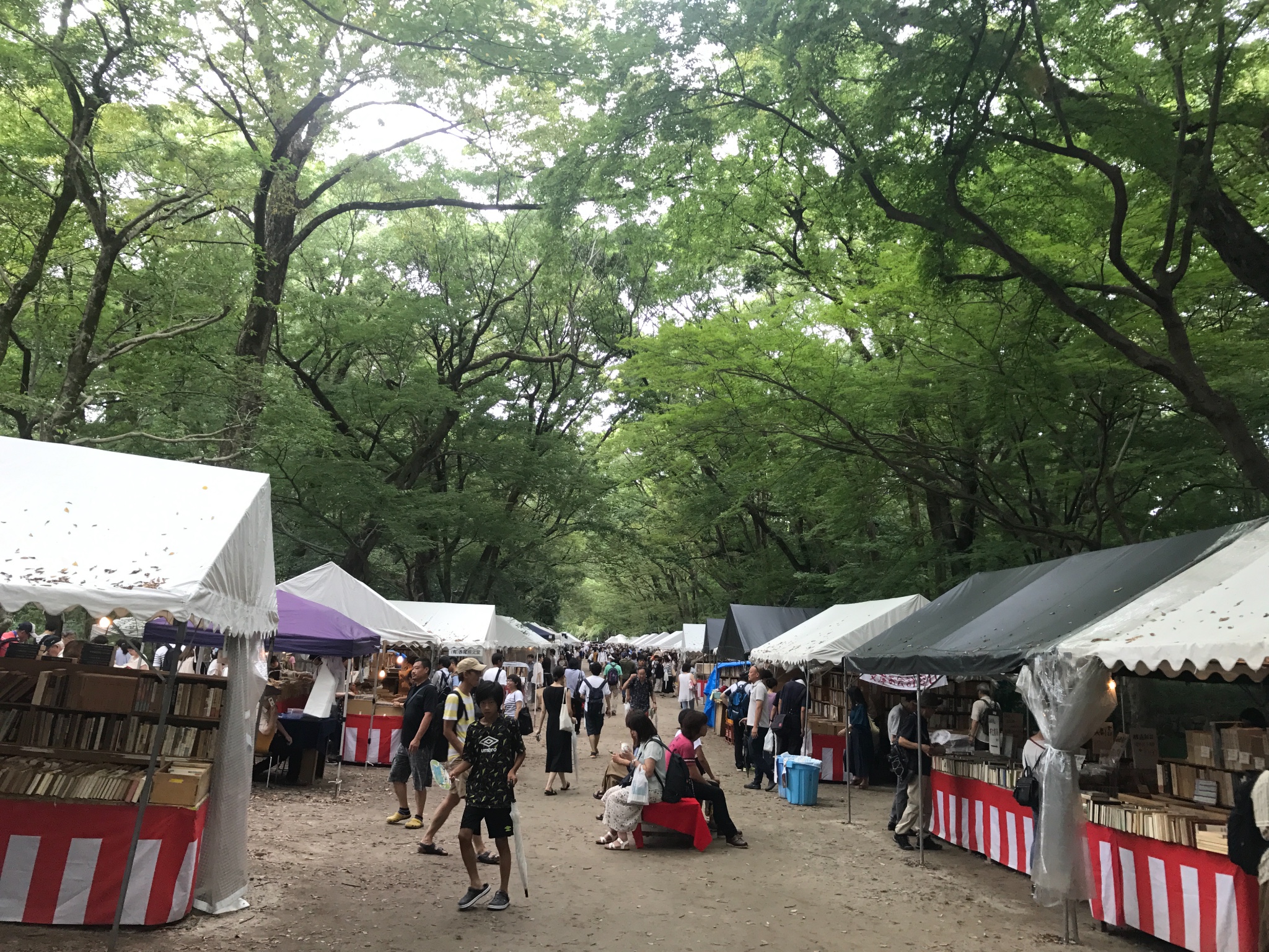 京都自助遊攻略